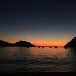 IMG_3349